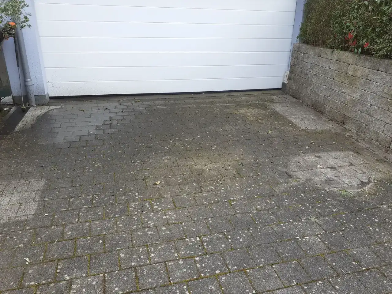 Vorher: Einfahrt/Garagenvorplatz Betonpflaster, Zustand vor der Reinigung