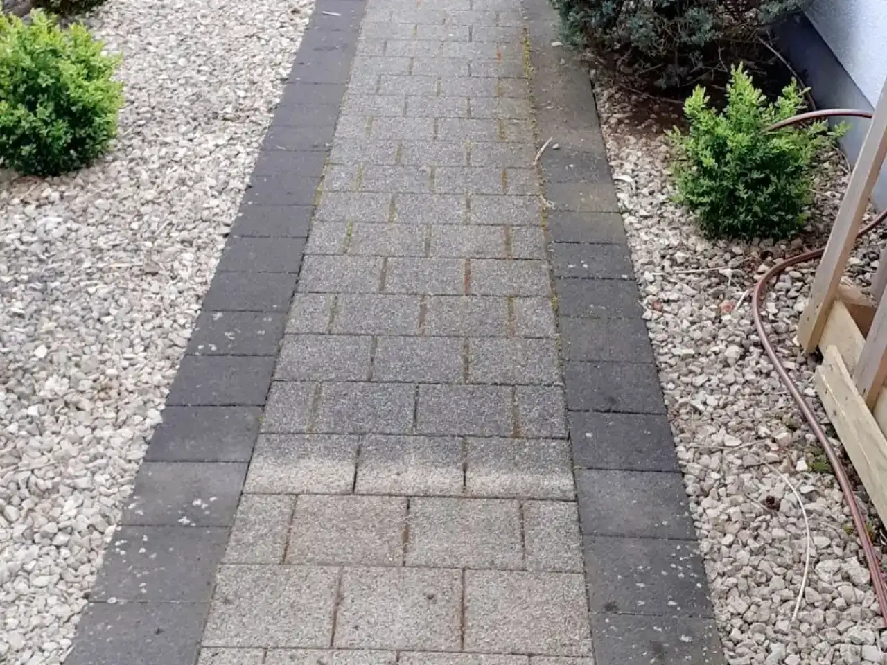 Vorher: Gartenweg Betonpflaster mit Randstreifen, Zustand vor der Reinigung