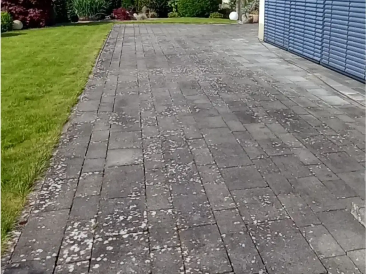 Vorher: Einfahrt Betonplatten Großformat, Zustand vor der Reinigung