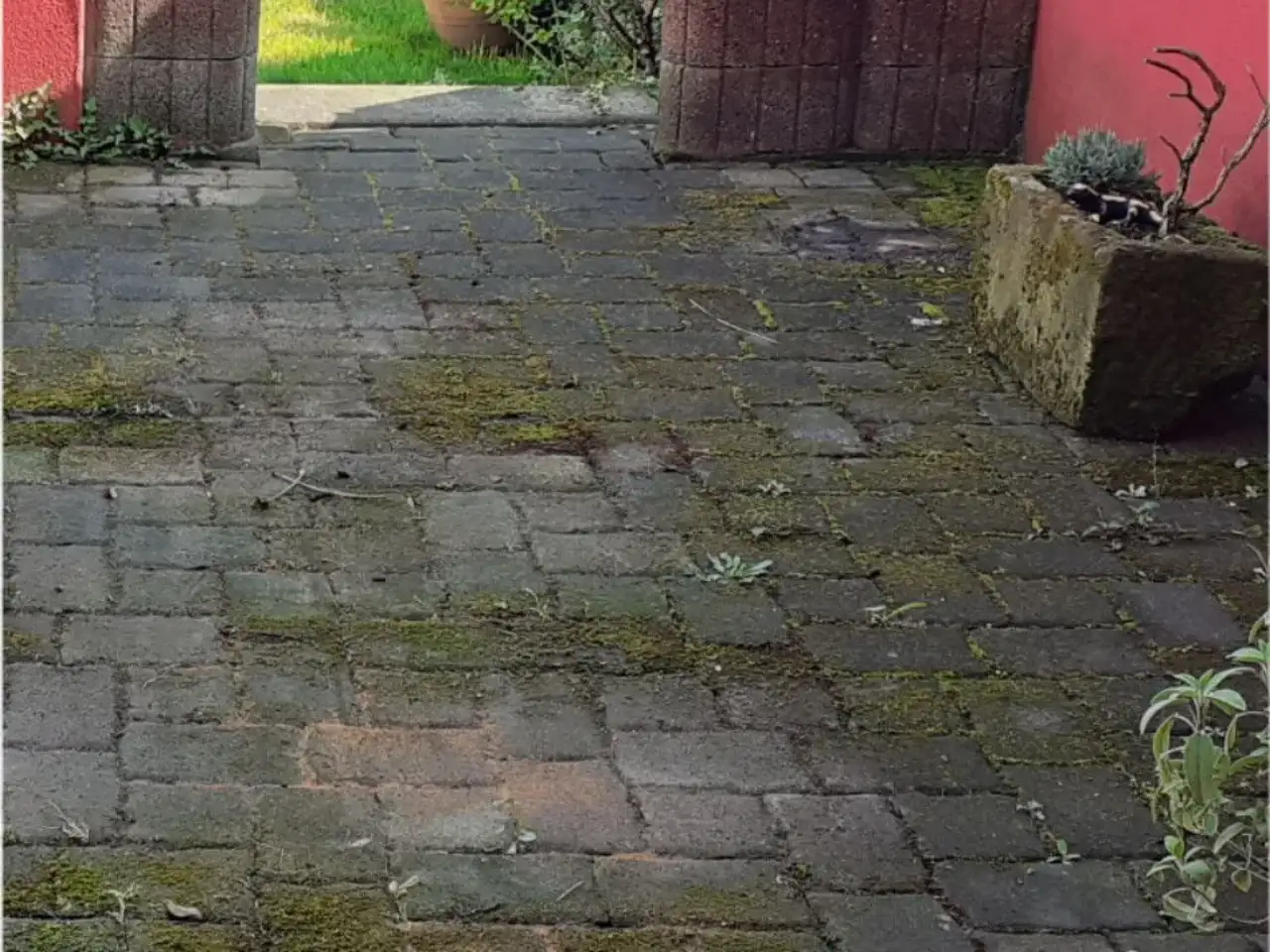 Vorher: Hauszugang aus kleinformatigem Betonpflaster zwischen zwei Klinkerpfeilern vor einer roten Wand, Fugen und Steinflächen sind dicht mit grünem Moos bewachsen, rechts steht ein bepflanzter Steintrog
