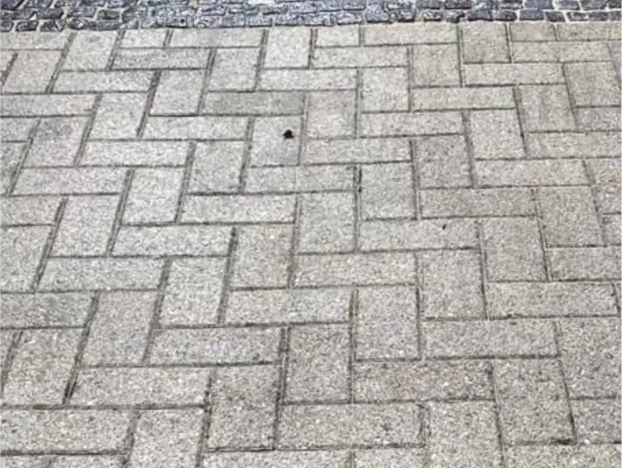 Nachher: Betonpflaster im Fischgrätverband mit einem quer eingelegten Band aus dunklem Kleinpflaster, die Fugen sind frei von Bewuchs