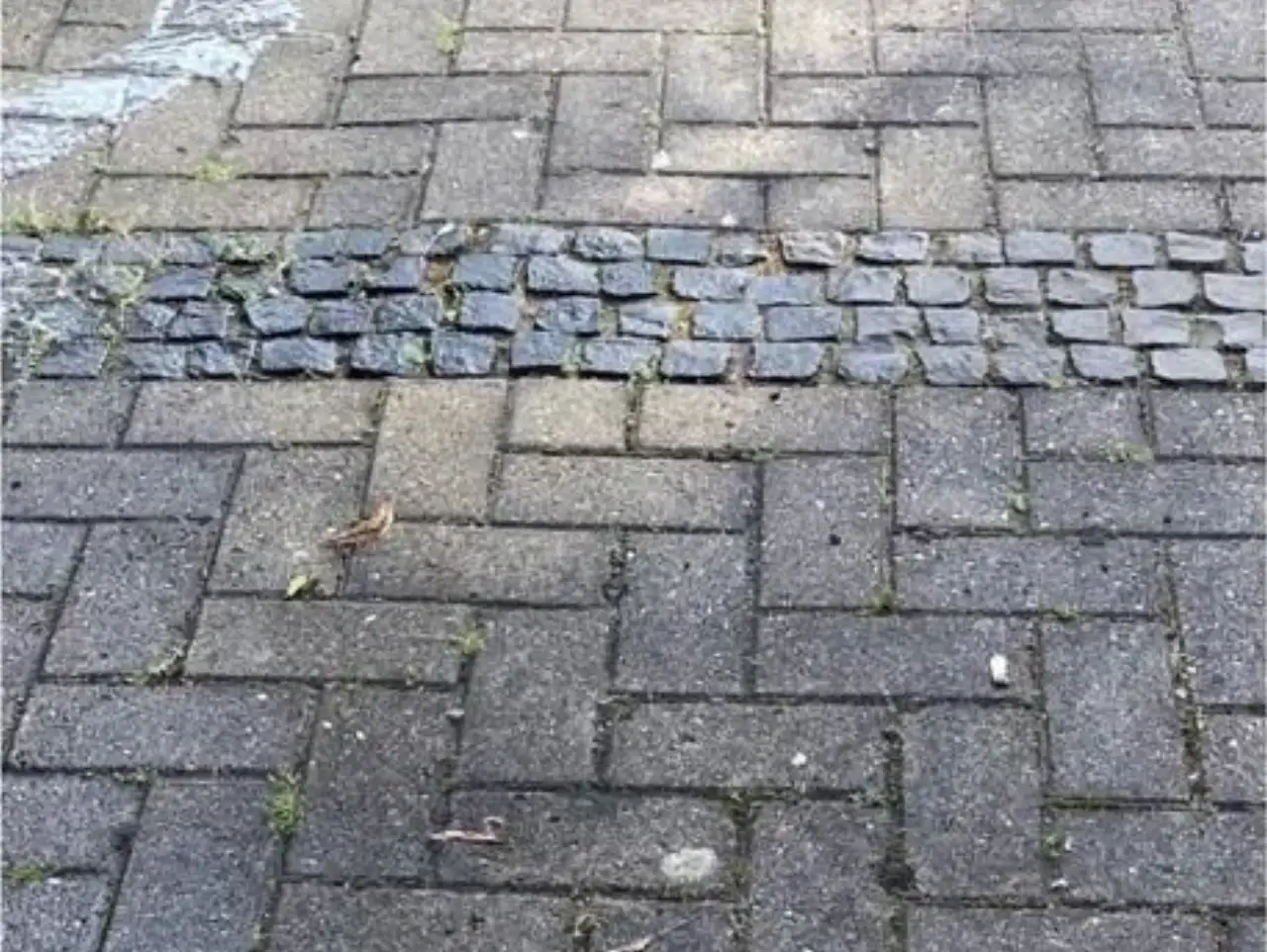 Vorher: Betonpflaster im Fischgrätverband mit einem quer eingelegten Band aus dunklem Kleinpflaster, aus den Fugen wächst Gras, der Belag ist feucht und graugrün verfärbt
