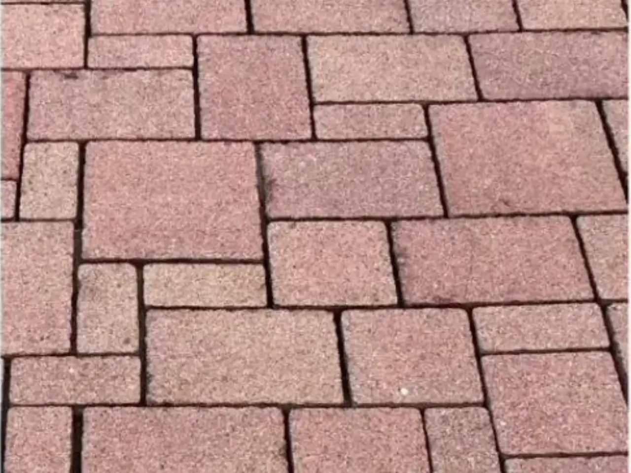 Nachher: Terrasse/Weg rotes Betonpflaster, Zustand nach der Reinigung