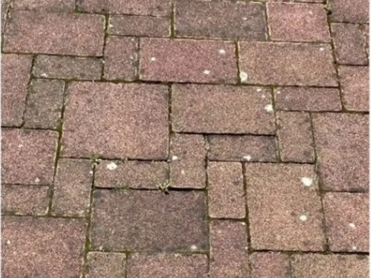 Vorher: Terrasse/Weg rotes Betonpflaster, Zustand vor der Reinigung