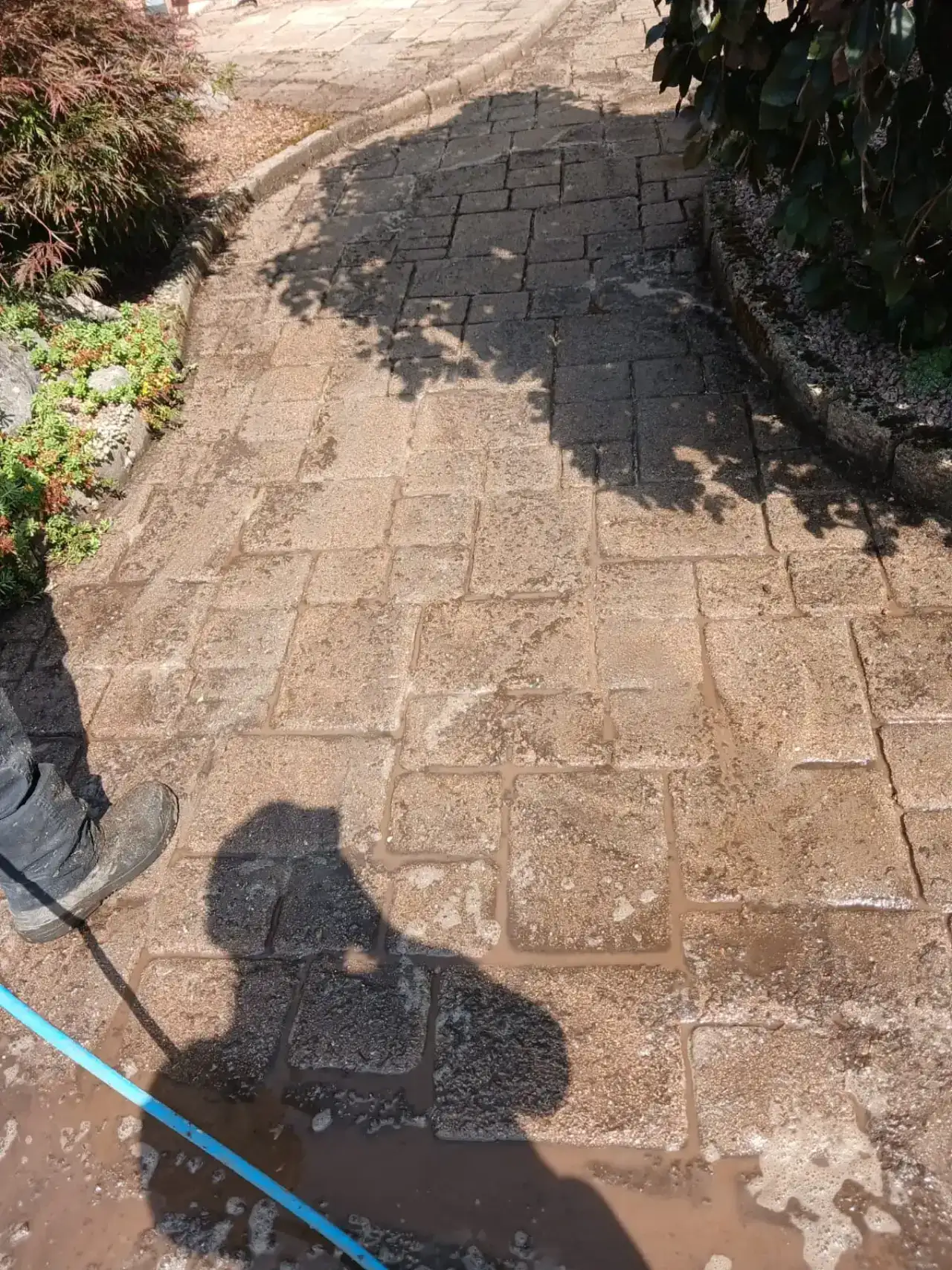 Gartenweg aus Betonpflaster, nass, mit gelöstem Schmutz auf der Fläche, im Vordergrund die Beine und der Schatten einer arbeitenden Person, ein Schlauch führt darüber
