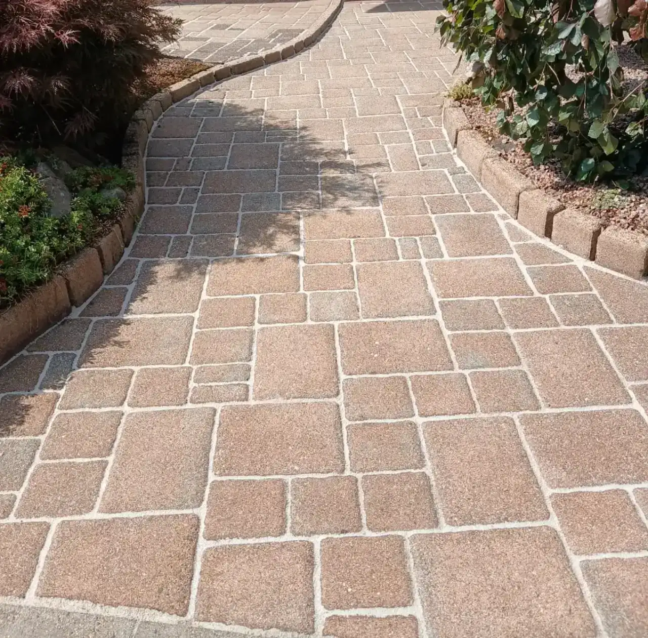 Geschwungener Gartenweg aus hellem Mehrformatpflaster zwischen zwei bepflanzten Beeten mit Randsteinen, der Belag ist gleichmäßig hell und die Fugen sind sauber, von rechts fällt der Schatten eines Baumes auf den Weg