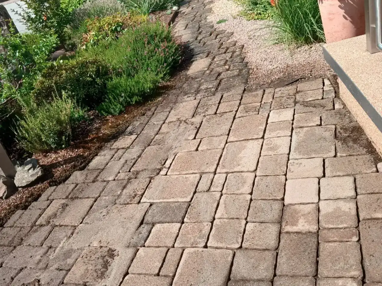 Vorher: Geschwungener Gartenweg aus Mehrformatpflaster zwischen zwei Pflanzbeeten, die Steine sind stumpf und fleckig, mehrere liegen schief und die Fugen sind dunkel und ausgespült