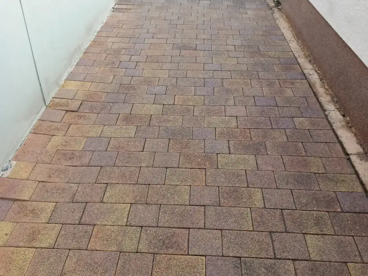 Gereinigter Pflasterweg aus Betonpflaster entlang einer Hauswand