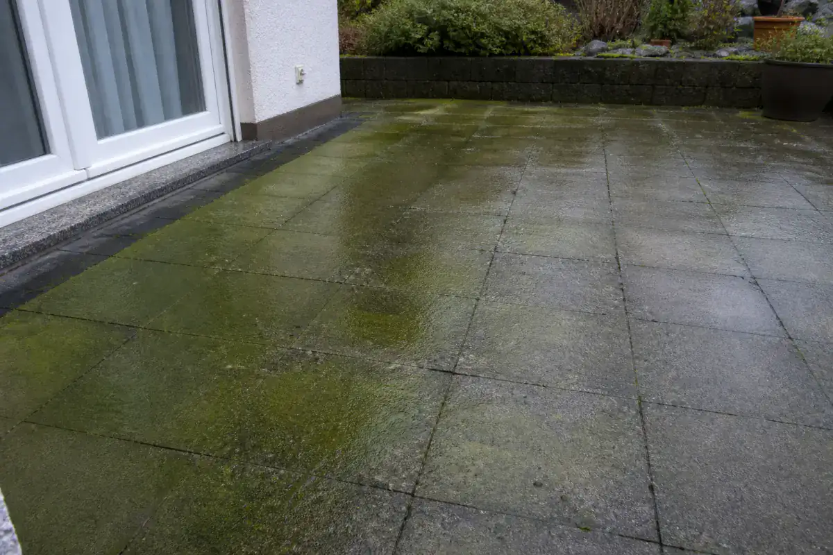 Terrasse aus Betonplatten mit flächigem grünem Algenbelag